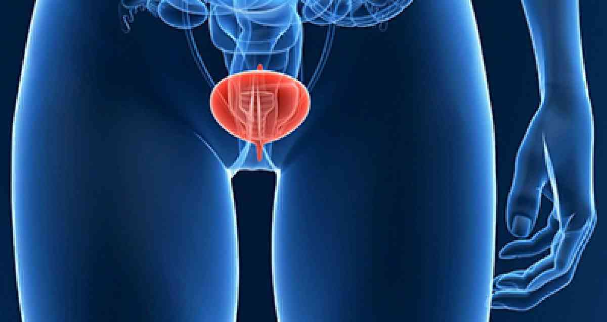 Water helps clear out harmful things like bacteria and may help prevent bladder cancer by flushing out certain chemicals. If you don't drink enough, your urine will have less water in it, and that can irritate your bladder. | MirrorLog